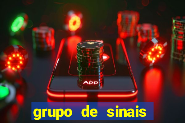 grupo de sinais fortune rabbit